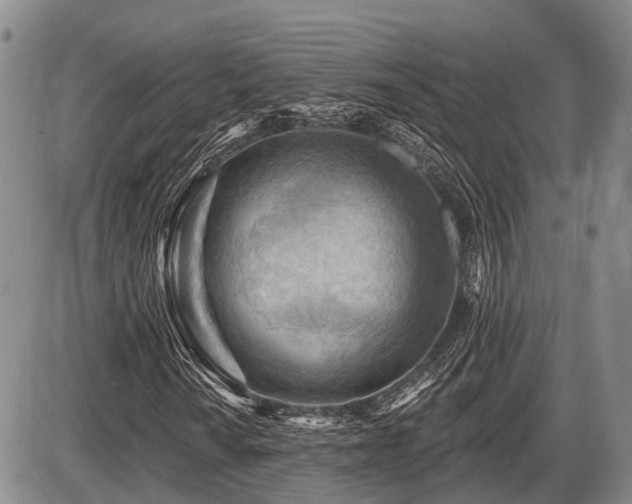 X0000087591010200704271302