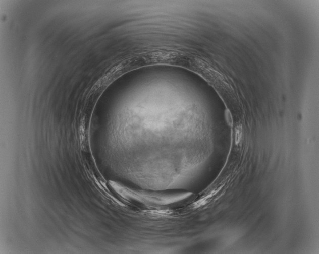 X0000087591011200704271302