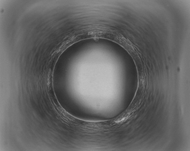 X0000087591012200704271302