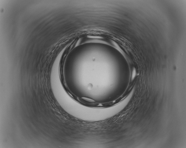 X0000087591014200704271302