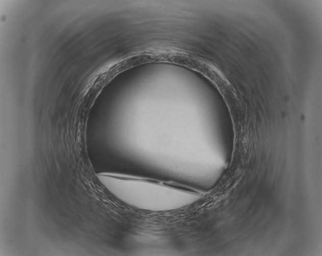 X0000087591016200704271302