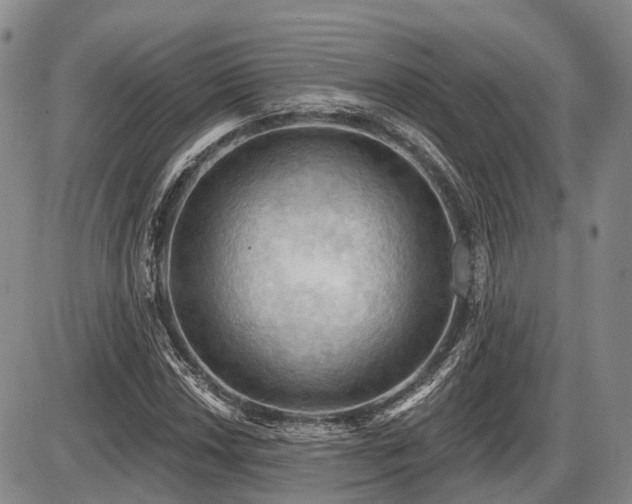 X0000087591018200704271302