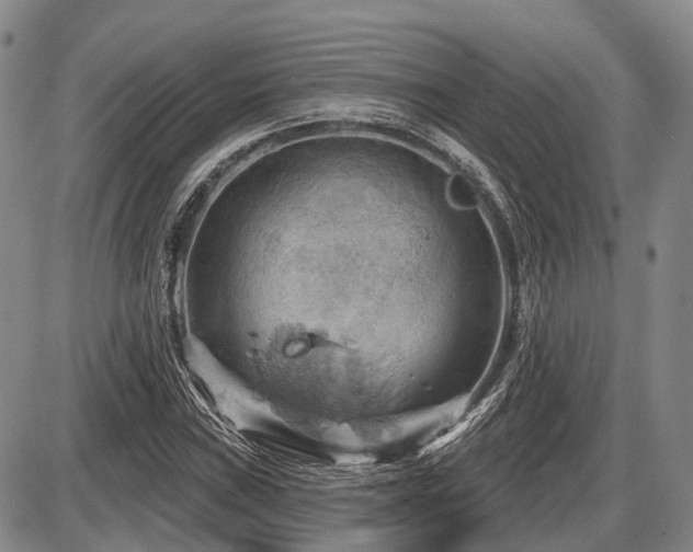 X0000087591019200704271302