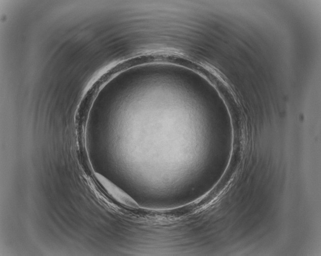 X0000087591022200704271302