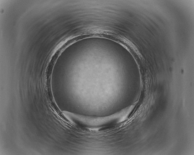 X0000087591023200704271302