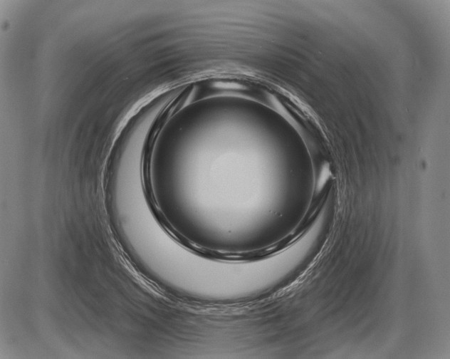 X0000087591026200704271302