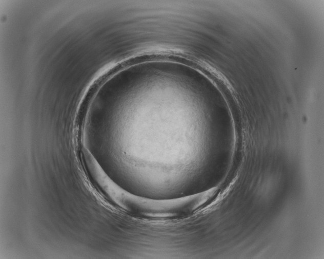 X0000087591029200704271302
