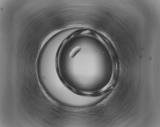 X0000087591030200704271302