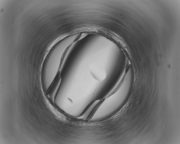 X0000087591034200704271302