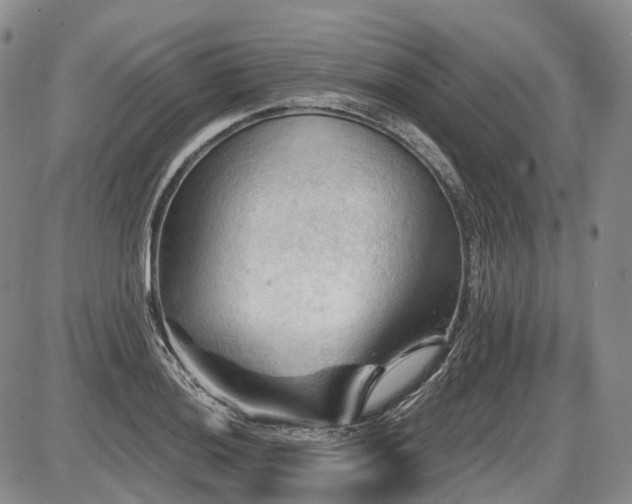 X0000087591036200704271302