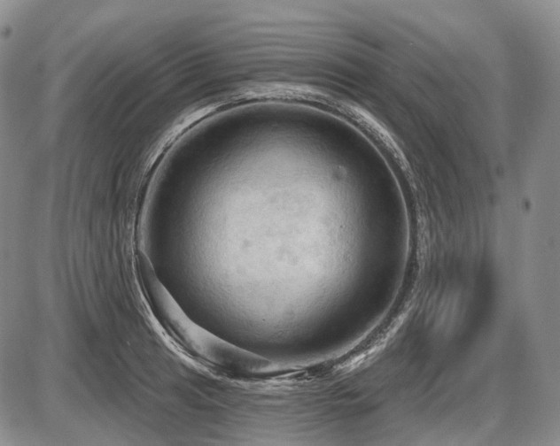 X0000087591041200704271302