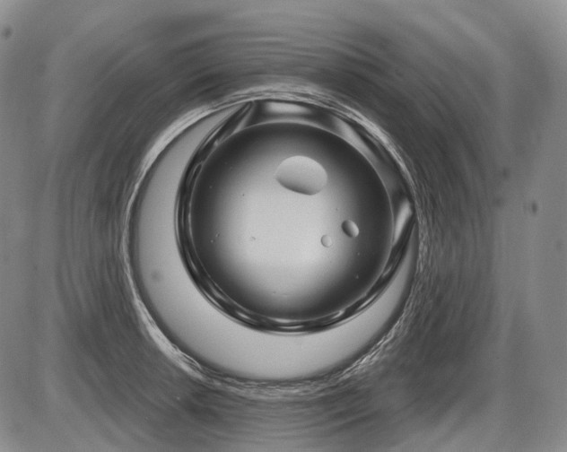 X0000087591042200704271302