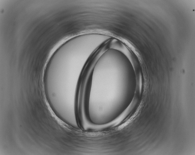 X0000087591046200704271302