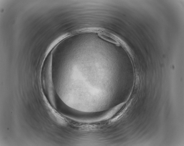 X0000087591050200704271302