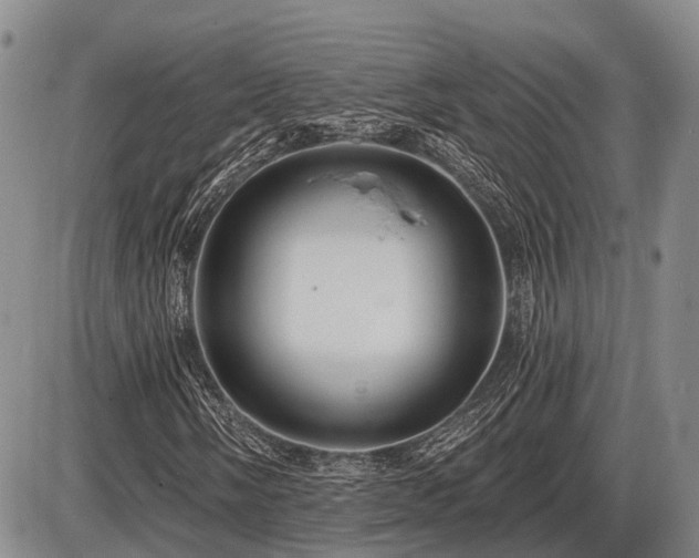 X0000087591058200704271302