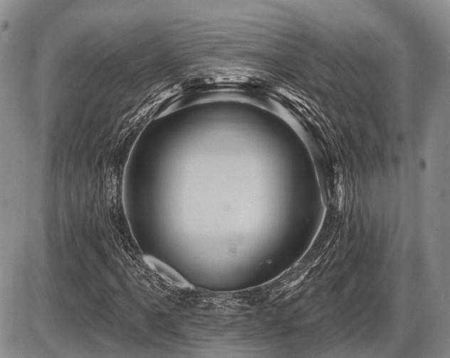 X0000087591061200704271302