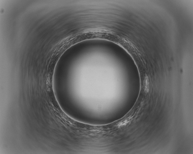 X0000087591062200704271301