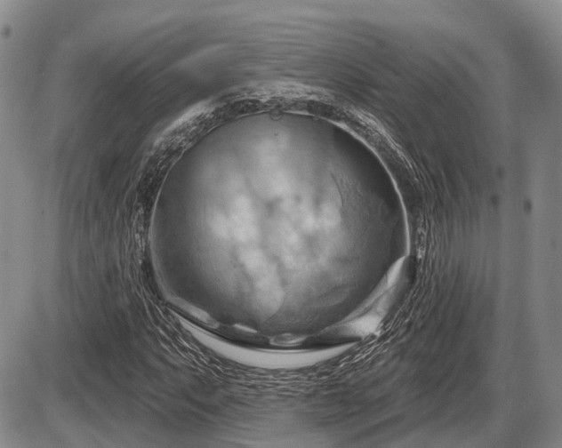 X0000087591063200704271301