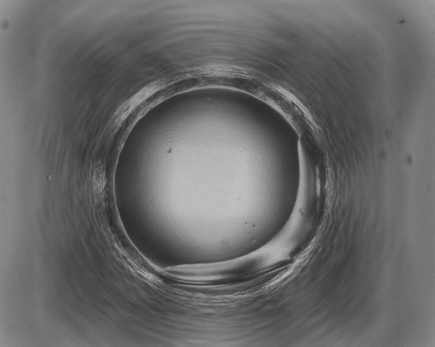 X0000087591065200704271301