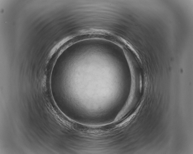 X0000087591066200704271301