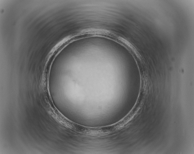 X0000087591074200704271301