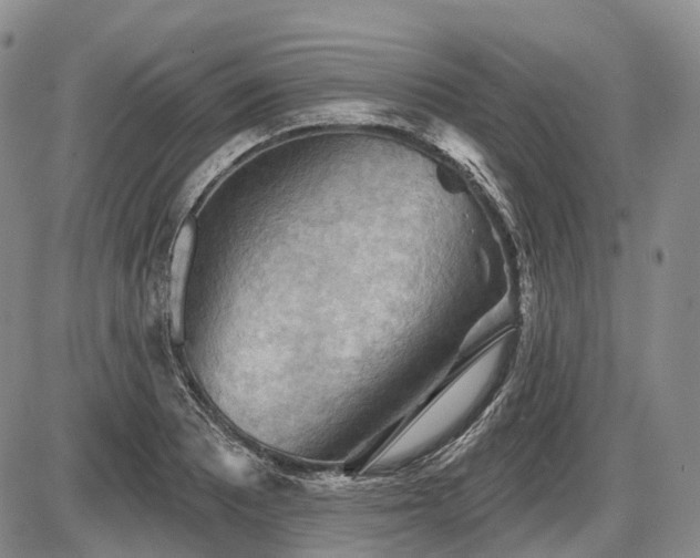 X0000087591081200704271301