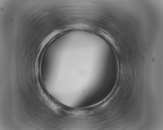 X0000087591082200704271301