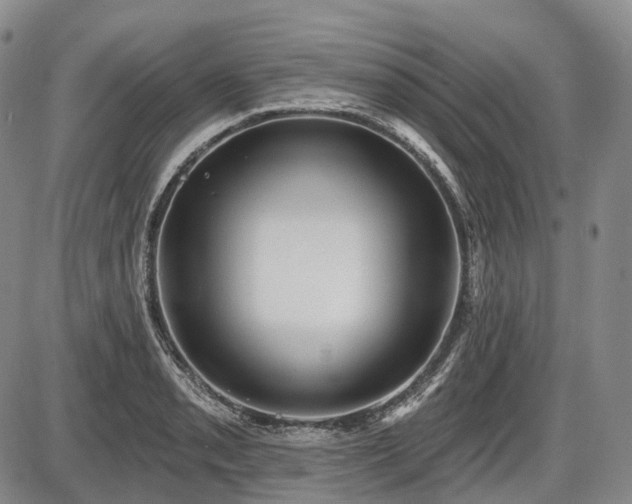 X0000087591085200704271301