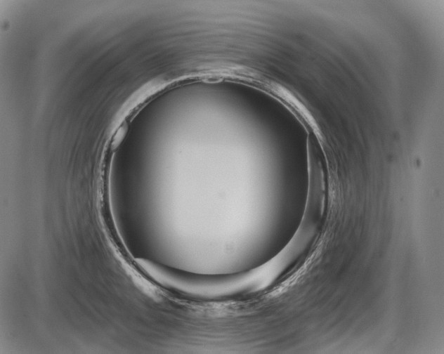 X0000087591093200704271301