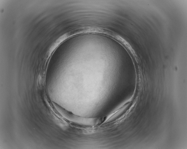 X0000087591097200704271301