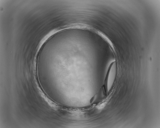 X0000087591099200704271301