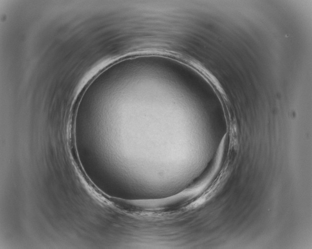 X0000087591101200704271301