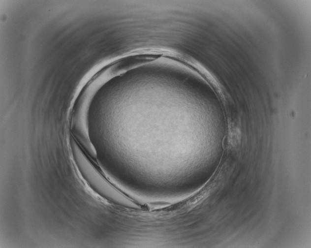 X0000087591102200704271301