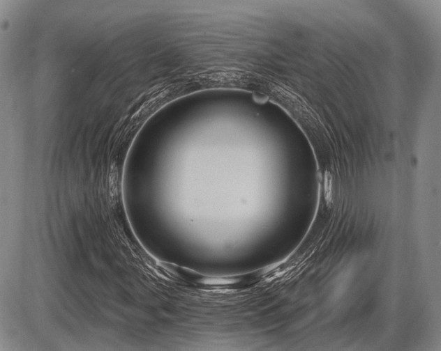 X0000087591107200704271300