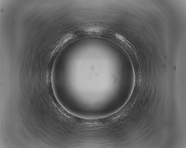 X0000087591108200704271300