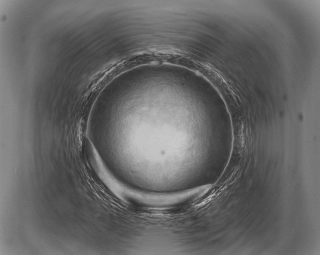 X0000087591110200704271300