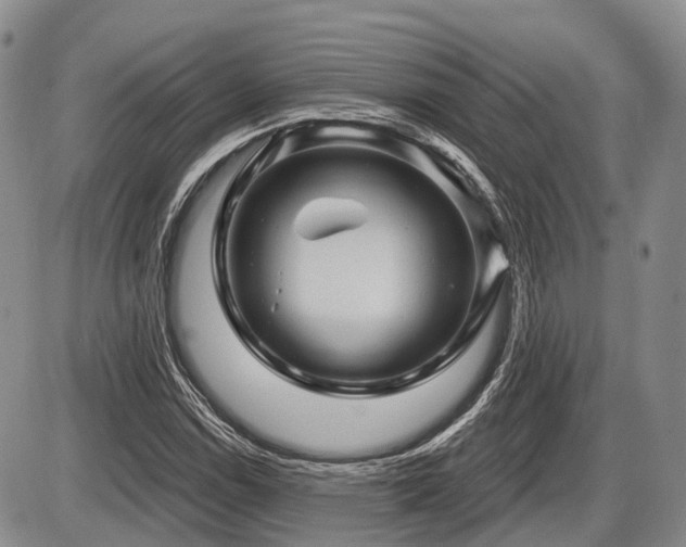 X0000087591114200704271300