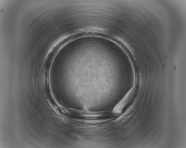 X0000087591115200704271300