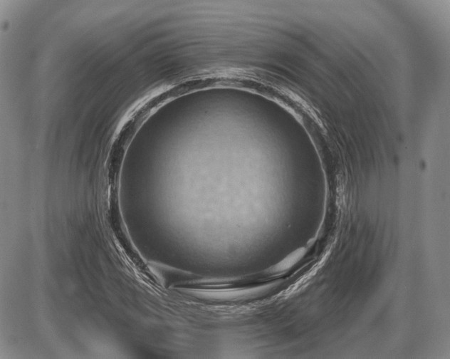 X0000087591117200704271300
