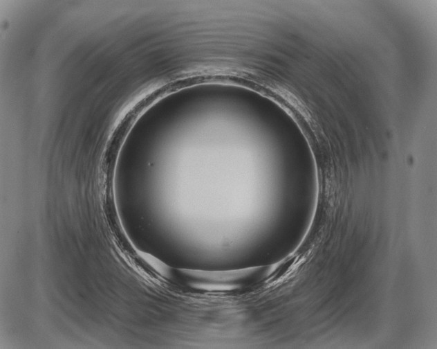 X0000087591119200704271300