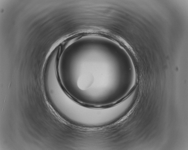 X0000087591122200704271300