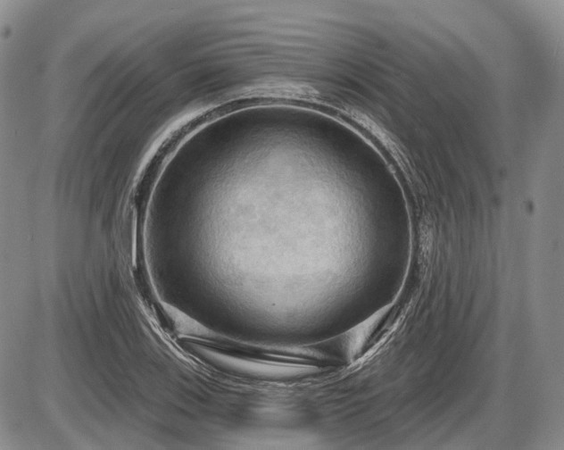 X0000087591123200704271300