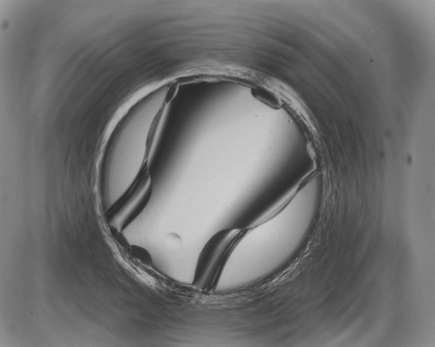 X0000087591128200704271300
