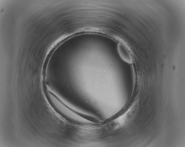 X0000087591133200704271300