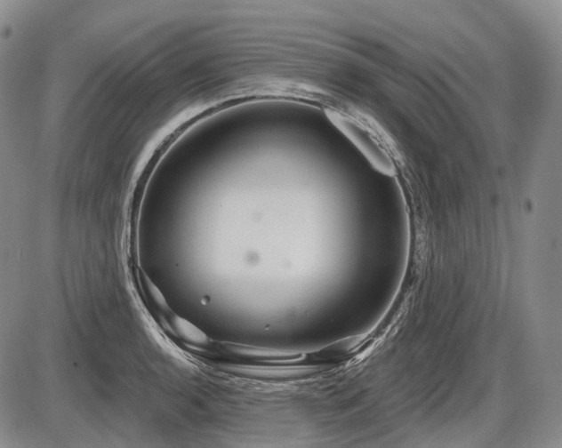 X0000087591136200704271301