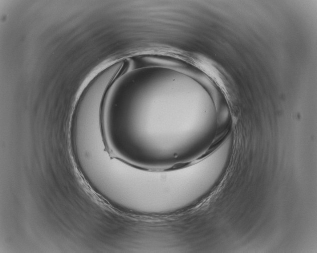 X0000087591138200704271301