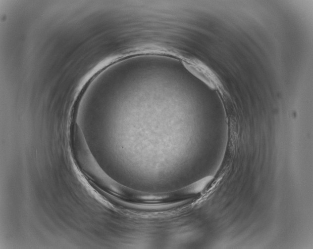 X0000087591142200704271301