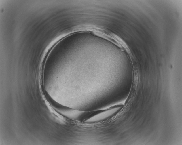 X0000087591144200704271301
