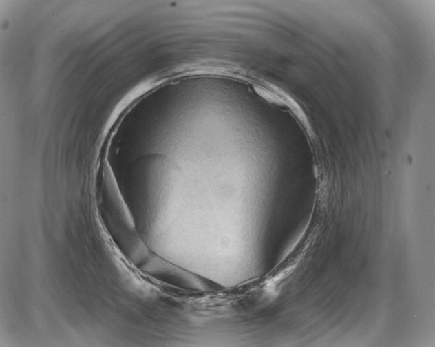 X0000087591146200704271301