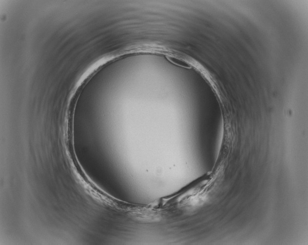 X0000087591147200704271301